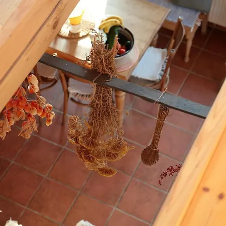 Casa de Férias Kotrcuv Mlyn